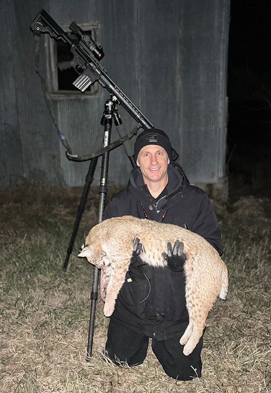 Precision requirements are relative. Most of the author’s nighttime shots are under two hundred yards. A quarter-minute predator rifle is not required. This beautiful female bobcat was taken at 160 yards with the Rock River LAR-BT3 chambered in .243 that groups around three-quarters of an inch.